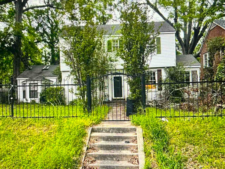 1000036736 1000036736